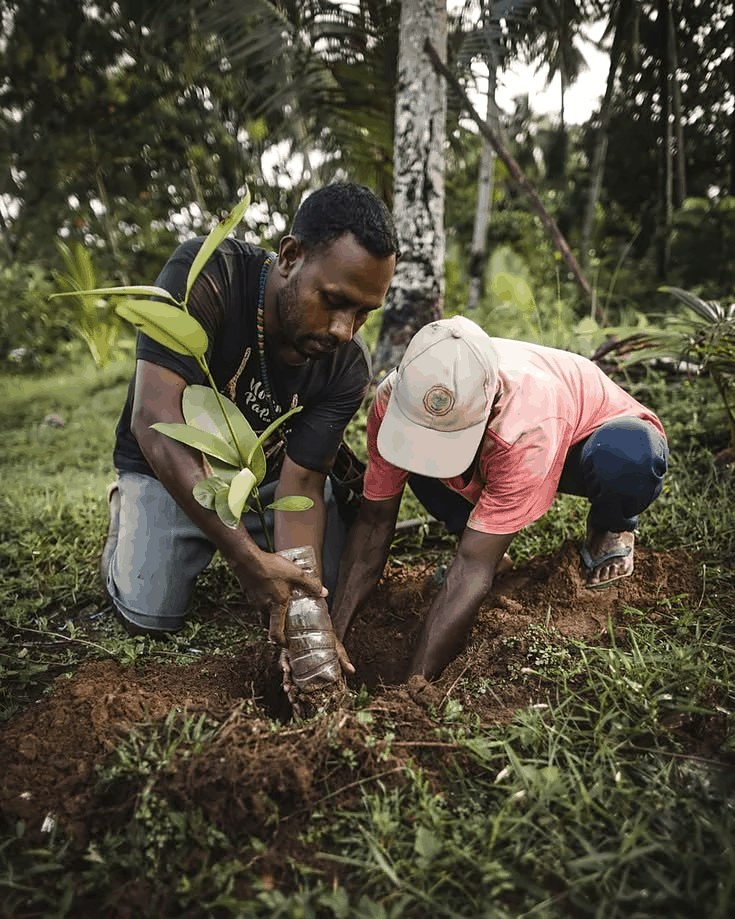 Two men planting a tree seedling together in a forest clearing